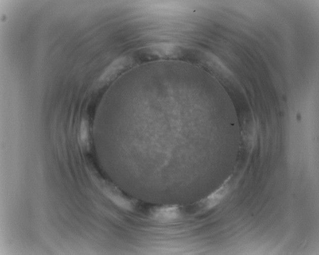 X0000066540132200603171250