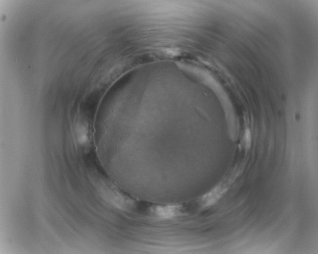 X0000066540134200603171250