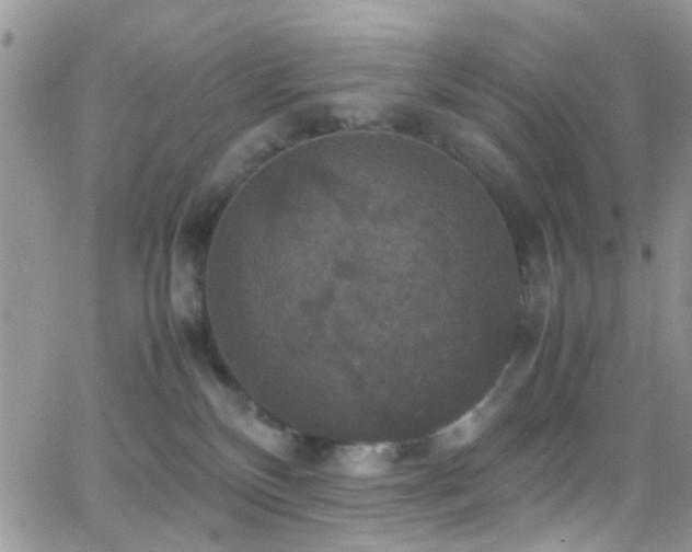 X0000066540136200603171250