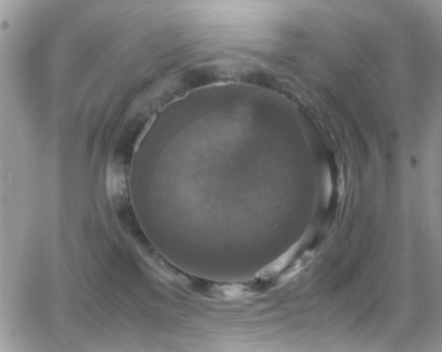 X0000066540137200603171250