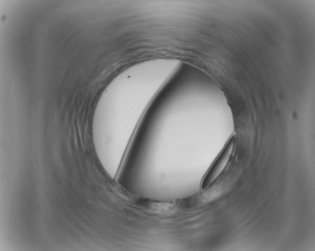 X0000066540139200603171250