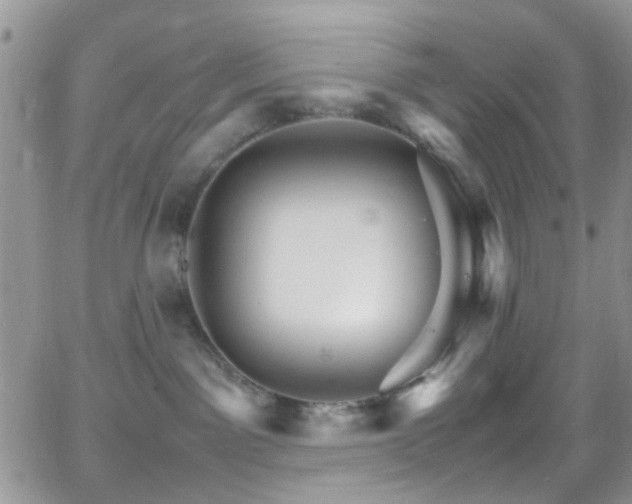 X0000066540141200603171250