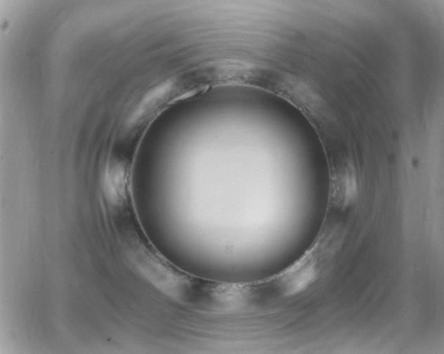 X0000066540142200603171250