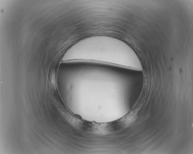 X0000066540143200603171250