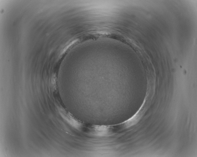 X0000066540144200603171250