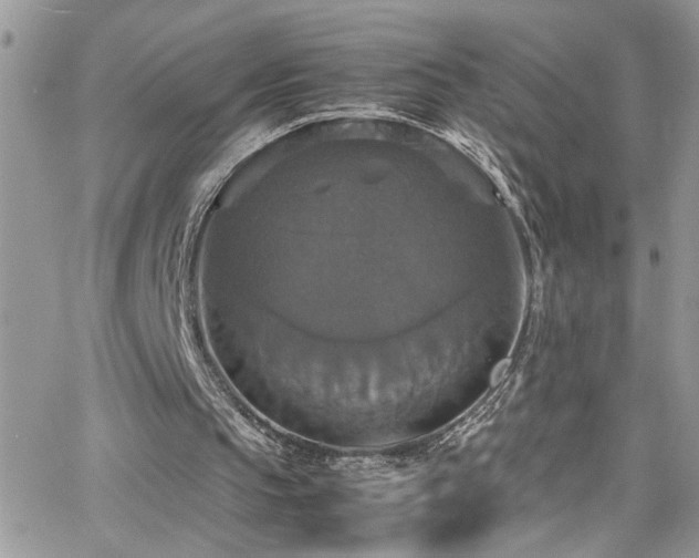 X0000066540145200603171249