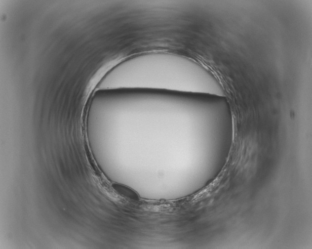 X0000066540147200603171249