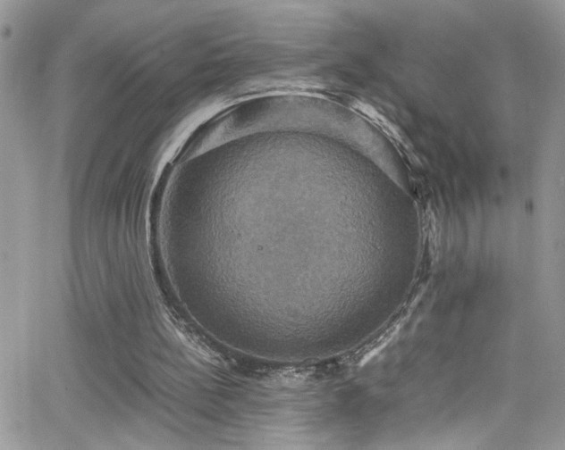 X0000066540148200603171249