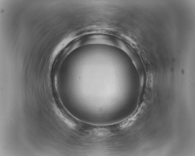 X0000066540150200603171249