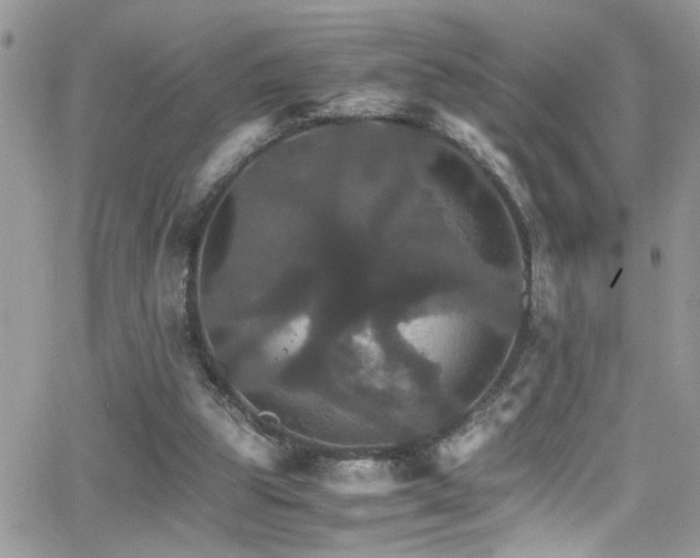 X0000066540153200603171249