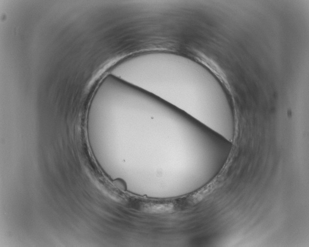 X0000066540155200603171249