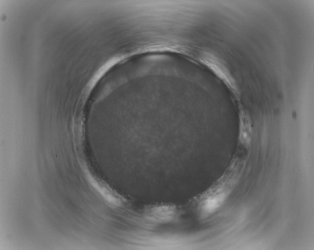 X0000066540156200603171249