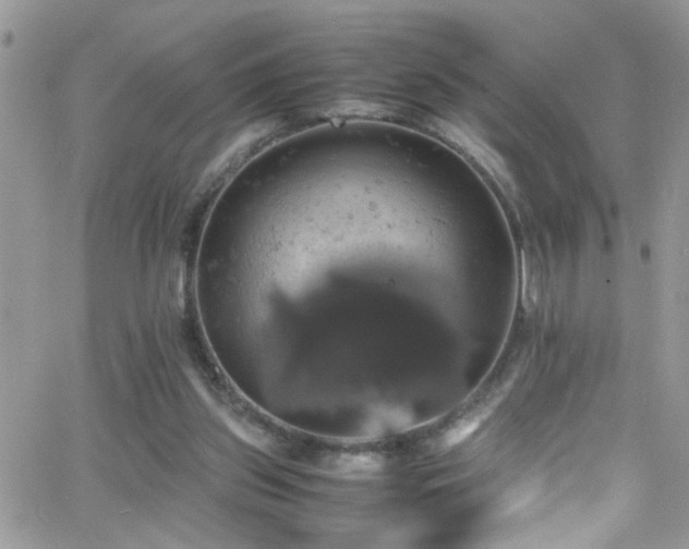 X0000066540157200603171249