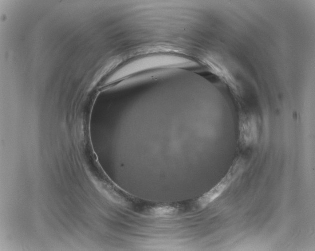 X0000066540158200603171249