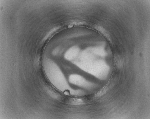 X0000066540159200603171249