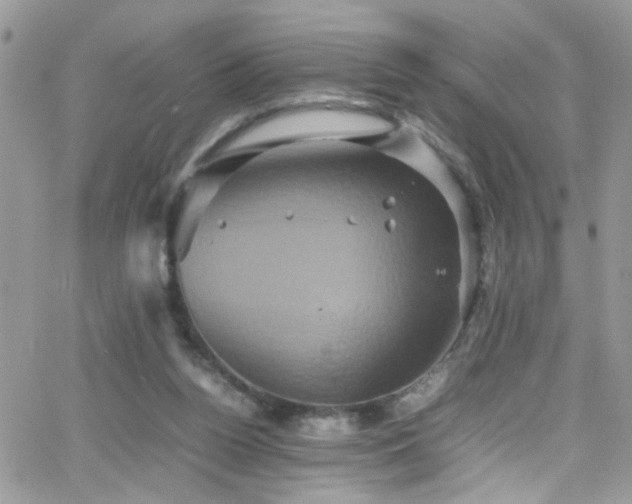 X0000066540160200603171249