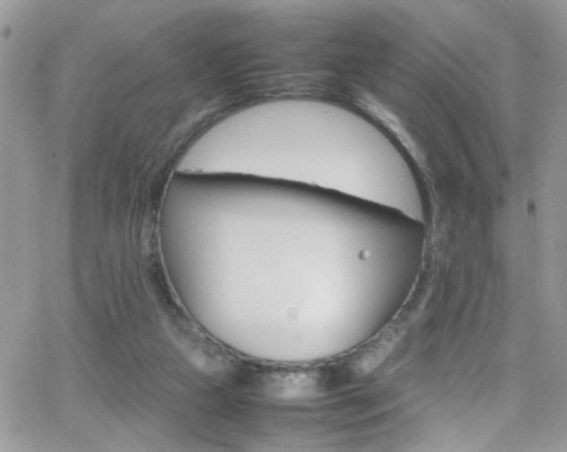 X0000066540161200603171249