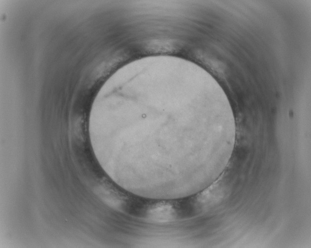 X0000066540162200603171249