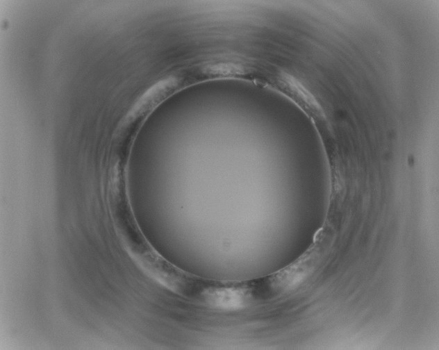 X0000066540163200603171249