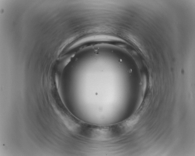 X0000066540164200603171249