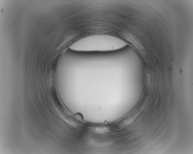 X0000066540165200603171249