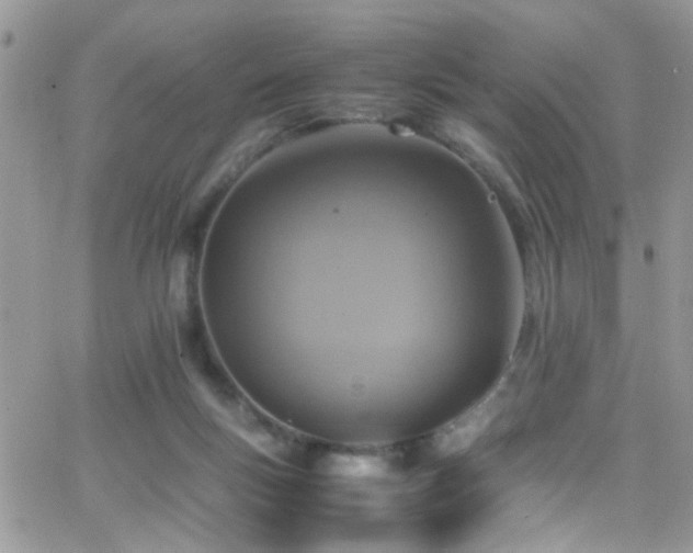 X0000066540167200603171249