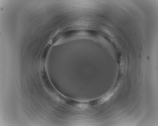 X0000066540168200603171249