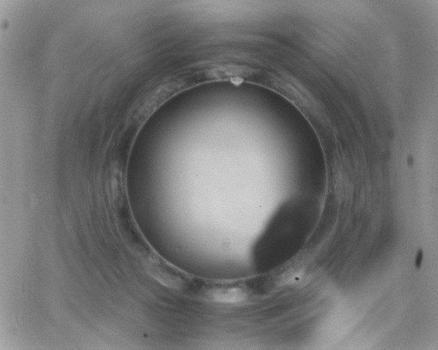 X0000066540169200603171249