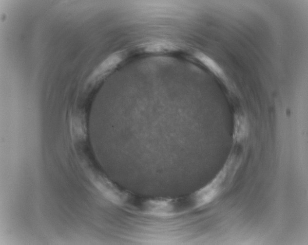 X0000066540170200603171249