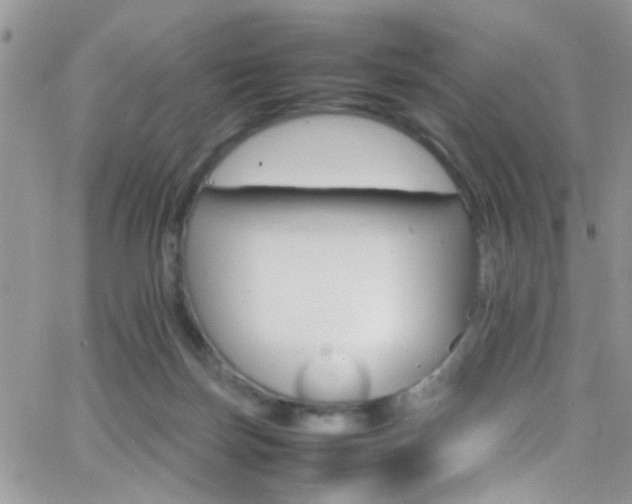 X0000066540171200603171249