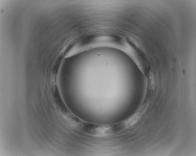 X0000066540172200603171249