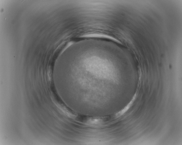 X0000066540174200603171249