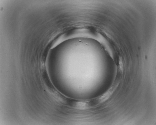 X0000066540176200603171249