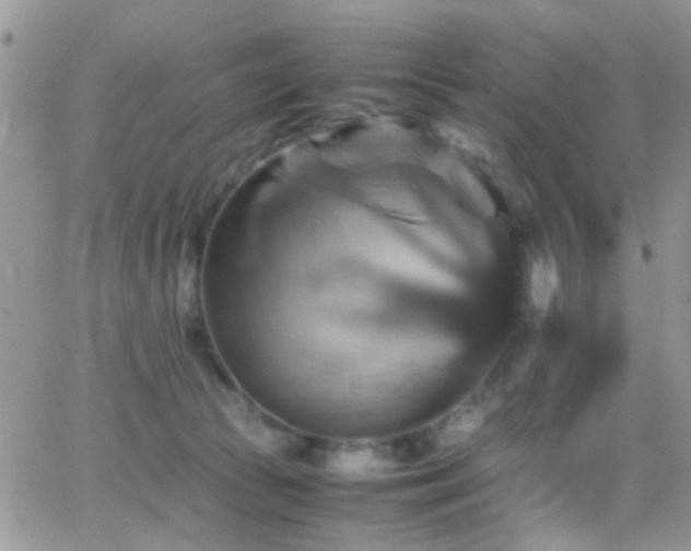 X0000066540177200603171249