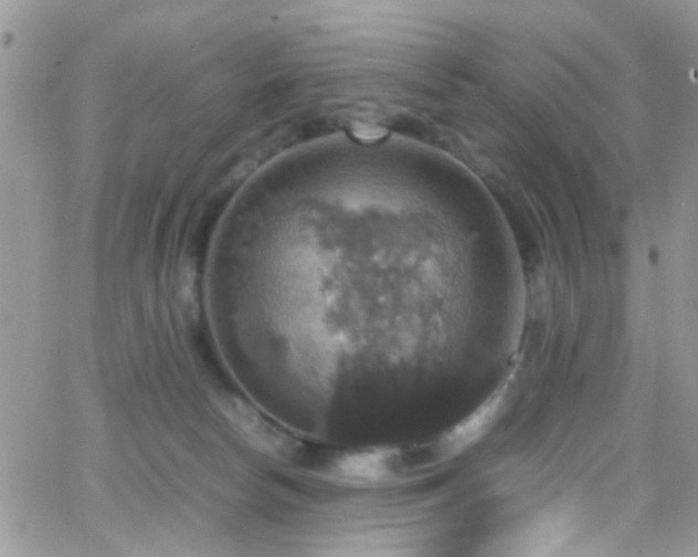 X0000066540178200603171250