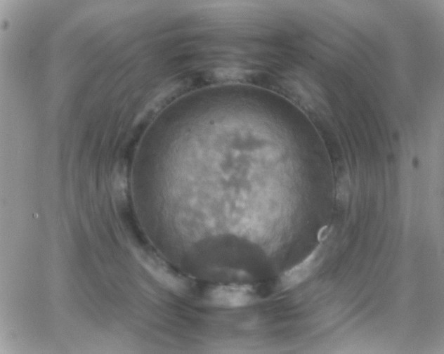 X0000066540179200603171250