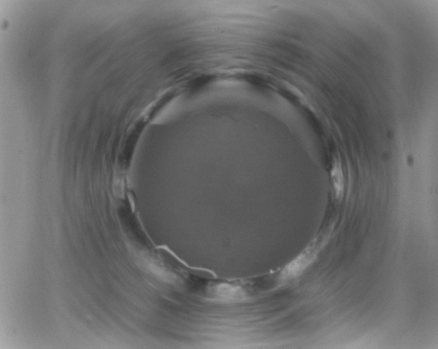 X0000066540180200603171250