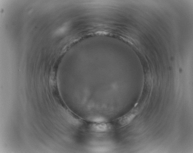 X0000066540181200603171250