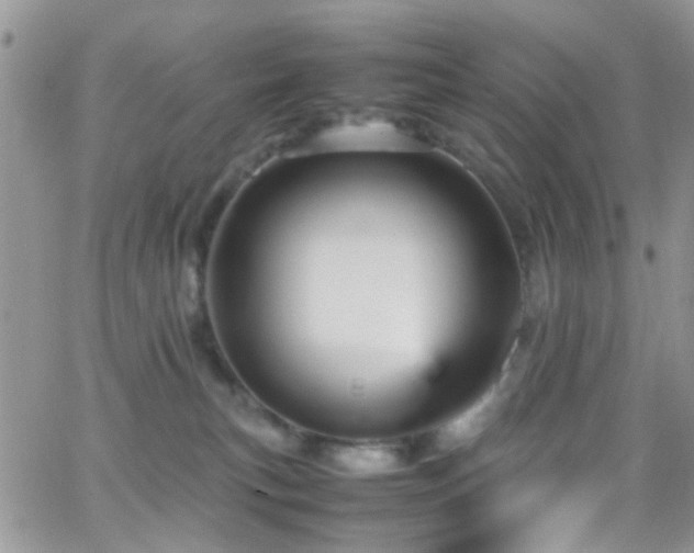 X0000066540183200603171250