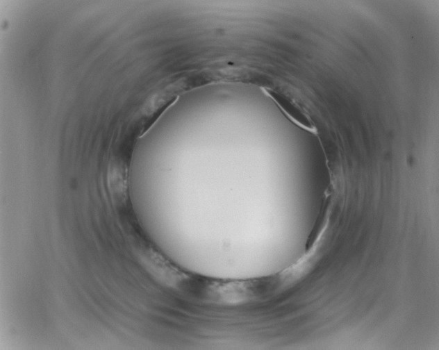 X0000066540186200603171250