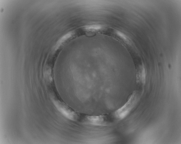 X0000066540187200603171250