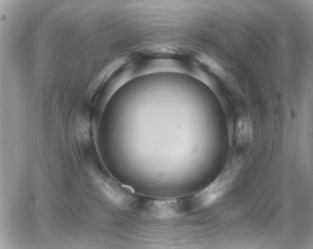 X0000066540188200603171250