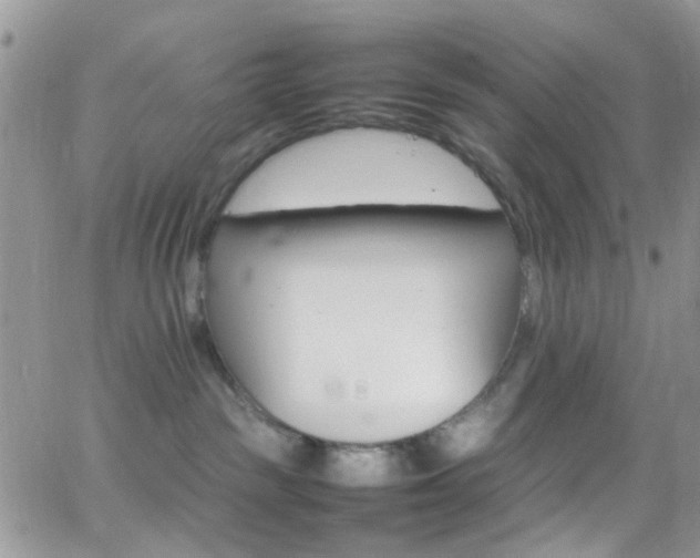 X0000066540189200603171250