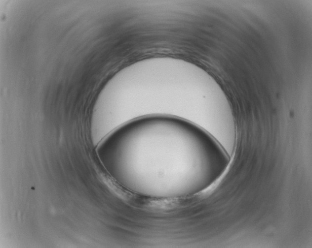 X0000066540190200603171250