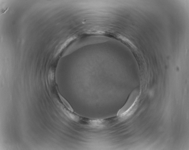 X0000066540192200603171250