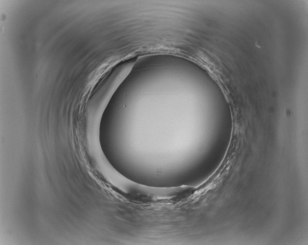 X0000066540193200603171249