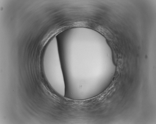 X0000066540194200603171249