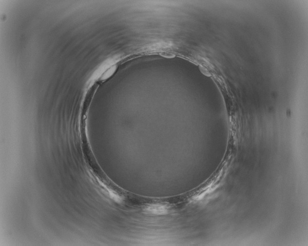 X0000066540196200603171249