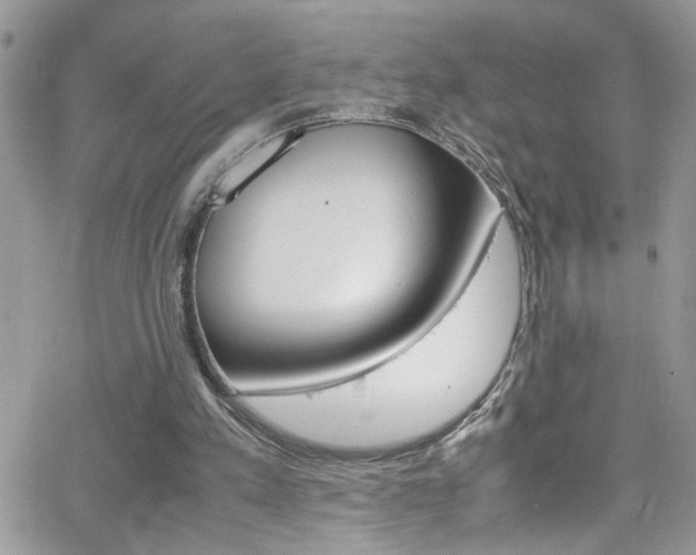 X0000066540197200603171249