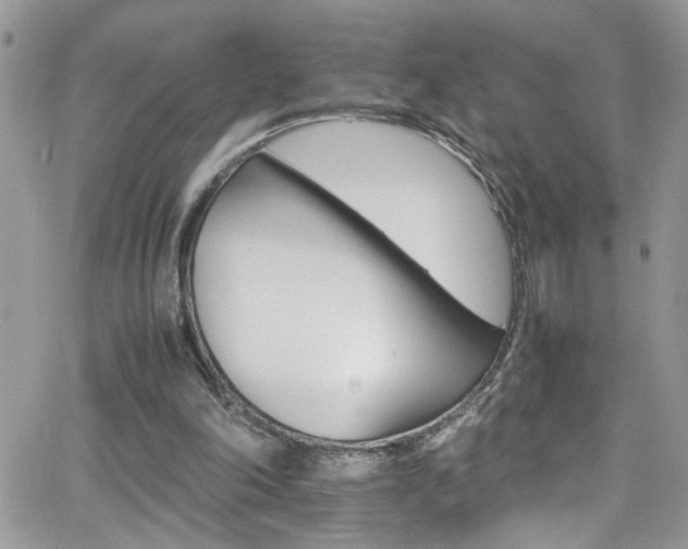 X0000066540198200603171249